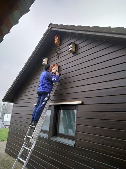 IMG_20190322_142342496 1