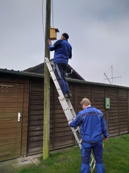 IMG_20190322_142649899 3