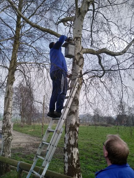 IMG_20190322_143419702 4